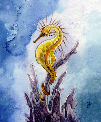 Sea Horse